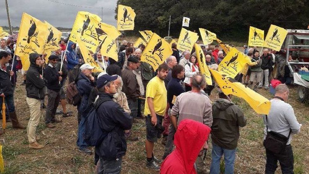 Plus de 200 paysans de la Confédération paysanne ont occupé une parcelle achetée par le groupe chinois Hongyang à Châtillon-sur-Indre, le 29 août 2018. © Confédération paysanne